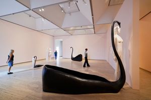 Heather B Swann, _Leda and the Swan_ (2018–23). Exhibition view: _The National 4: Australian Art Now_, Art Gallery of New South Wales, Sydney (24 March–23 July 2023). Photo: © Art Gallery of New South Wales, Mim Stirling.